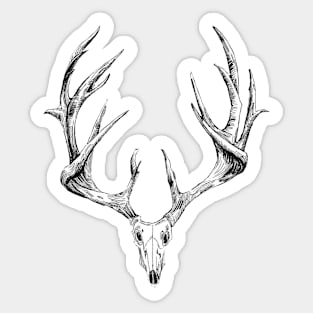 Stag Skull Sticker